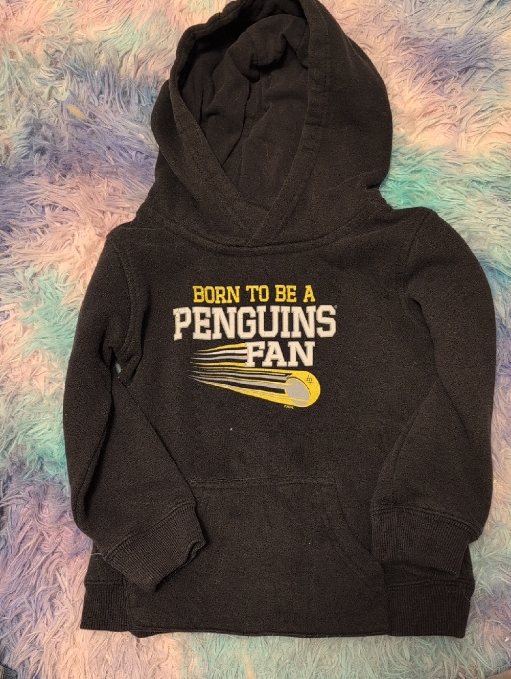 Kids Black "Born to Be a Penguins Fan" Hoodie